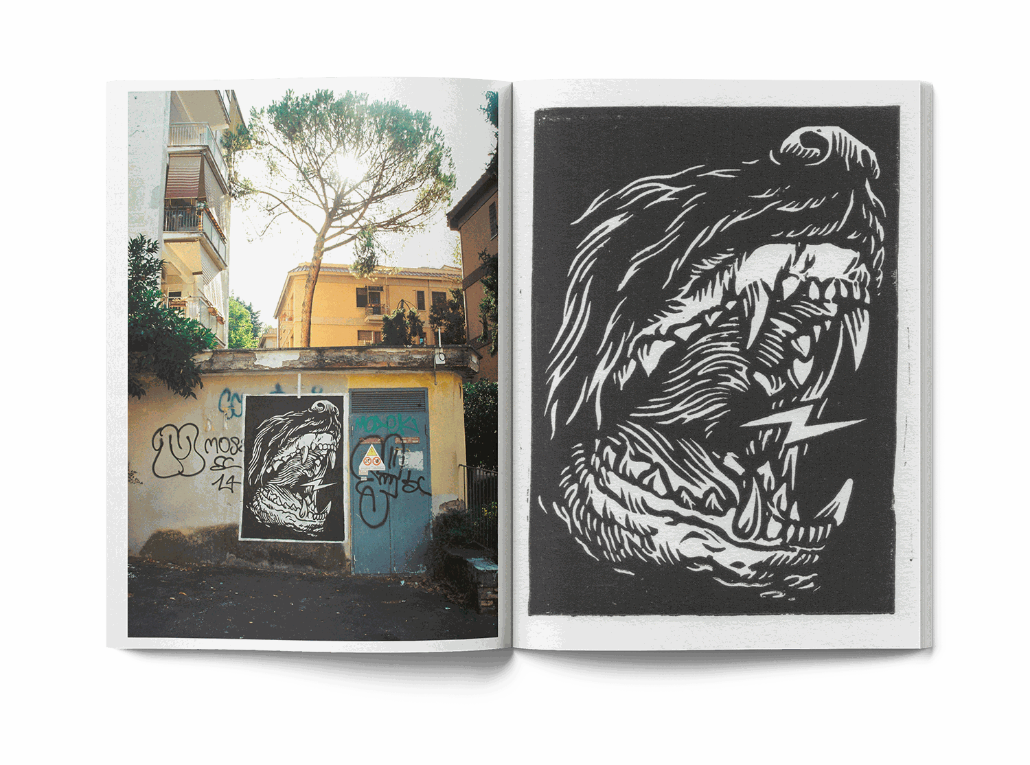 Open book showing street art mural with skull and Colosseum, man in red shirt painting wall, Lucamaleonte Colla 00139 book photo