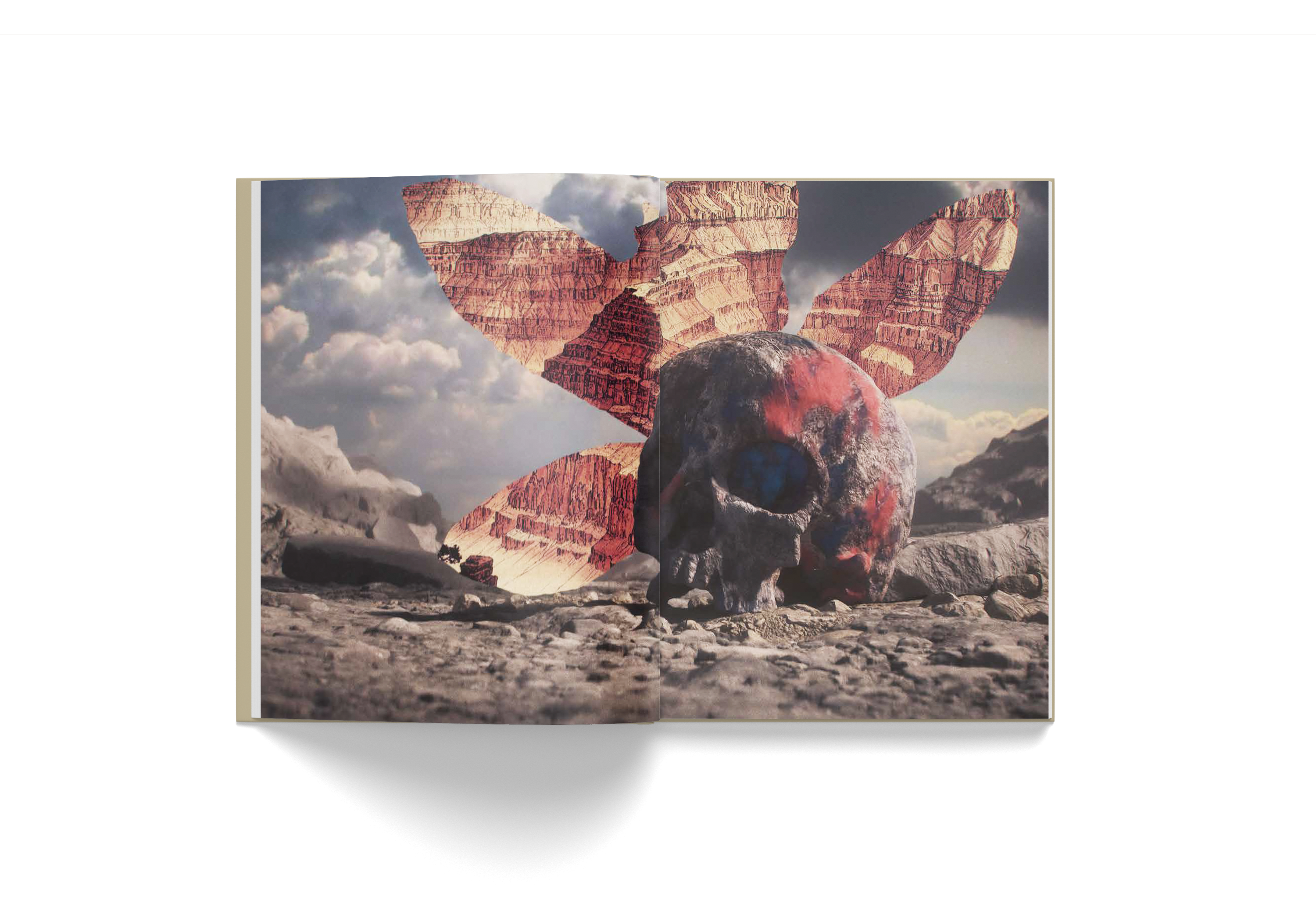 Open book displaying Pietro Ruffo's artwork featuring a skull with red and beige abstract botanical wings against a cloudy sky background