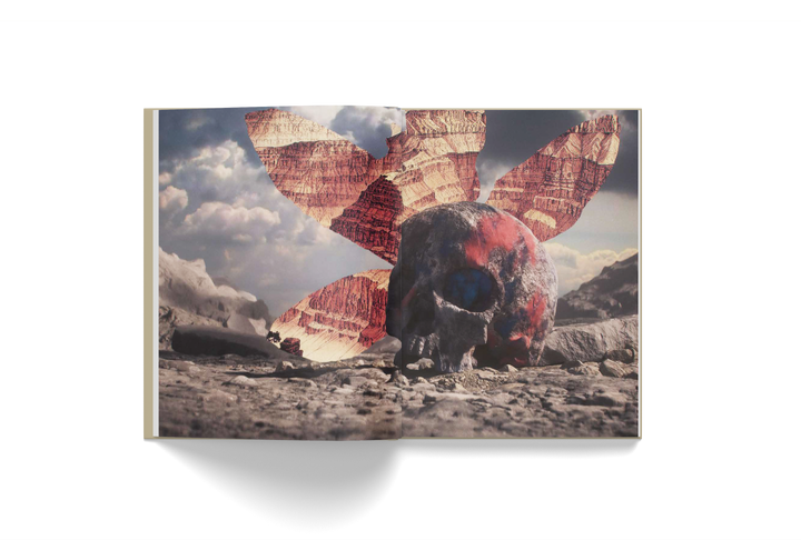 Open book displaying Pietro Ruffo's artwork featuring a skull with red and beige abstract botanical wings against a cloudy sky background