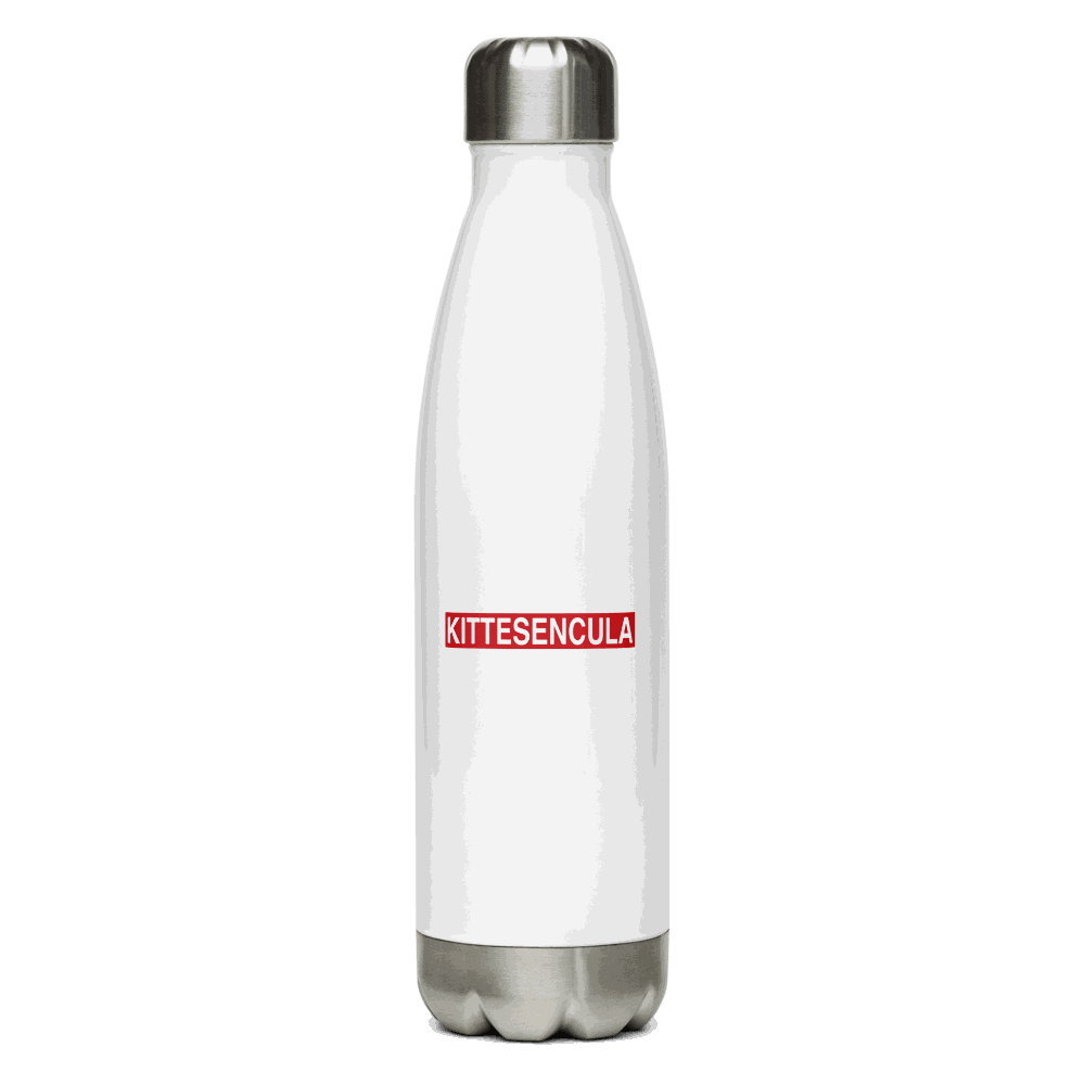 17 oz stainless steel water bottle with double-wall insulation and leak-proof cap