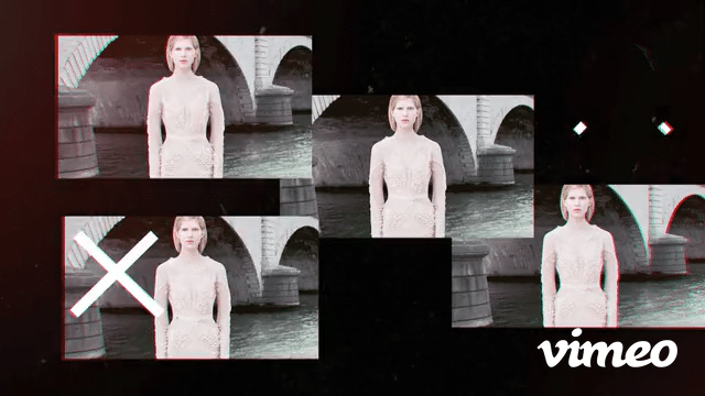 Jungle - Kittesencula | Kittesencula