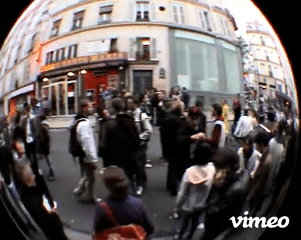 Drago does Paris! - Kittesencula | Kittesencula
