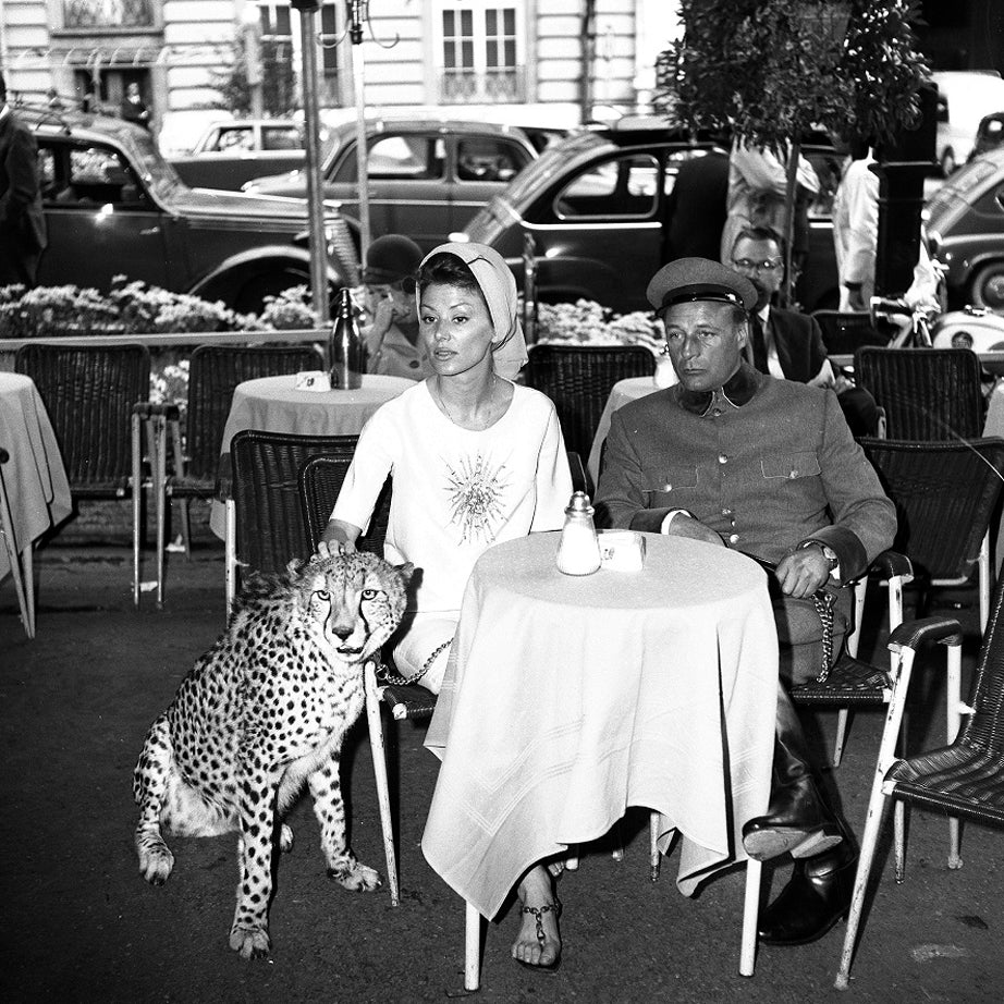 Rino-Barillari-Paparazzi-Dolce-Vita-Kittesencula.jpg