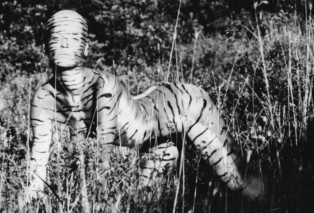 Jungle - Catalogue exhibition-Kittesencula