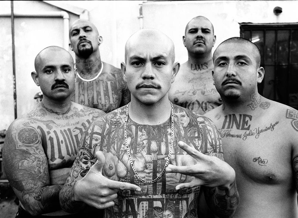 Estevan Oriol LA Portraits Drago Kittesencula