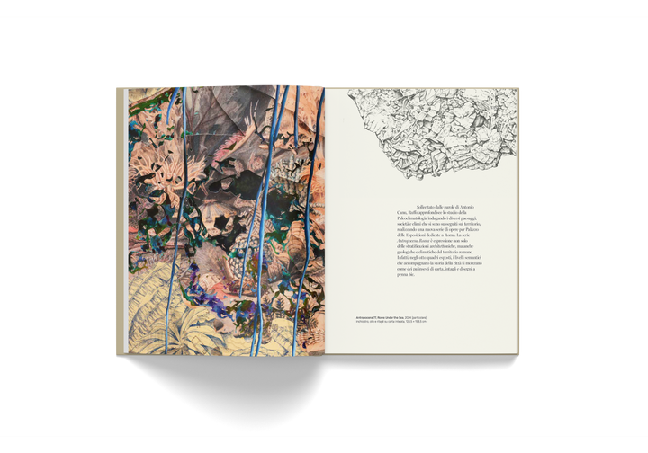 Pietro Ruffo art book "L'Ultimo Meraviglioso Minuto" open to botanical illustration and text pages.