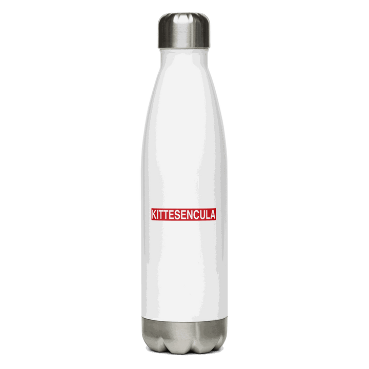 17 oz stainless steel water bottle with double-wall insulation and leak-proof cap