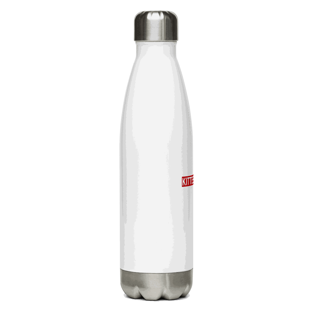 17 oz double-walled stainless steel water bottle with leak-proof cap for hot and cold drinks